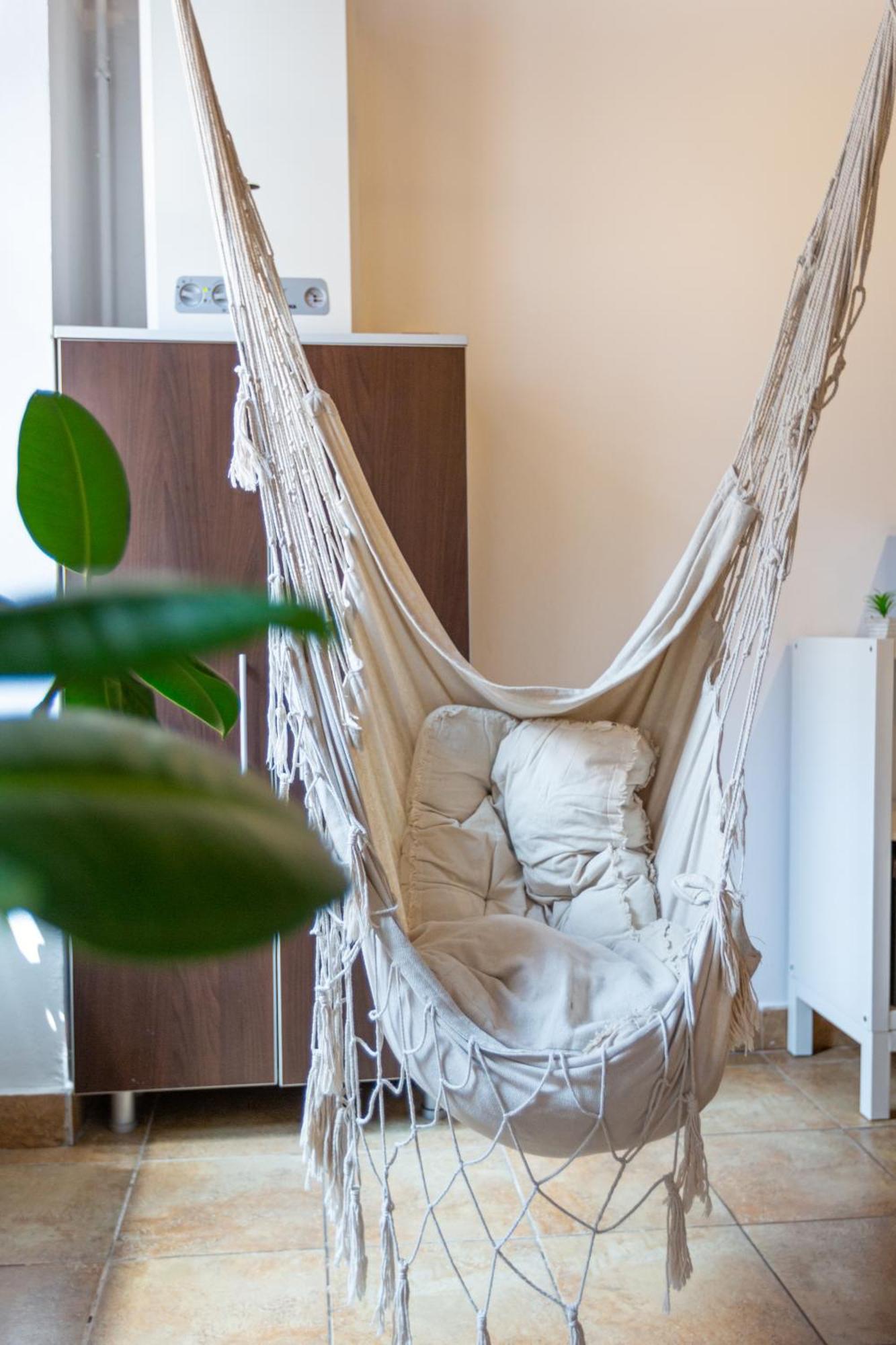 Dream Guesthouse براشوف المظهر الخارجي الصورة