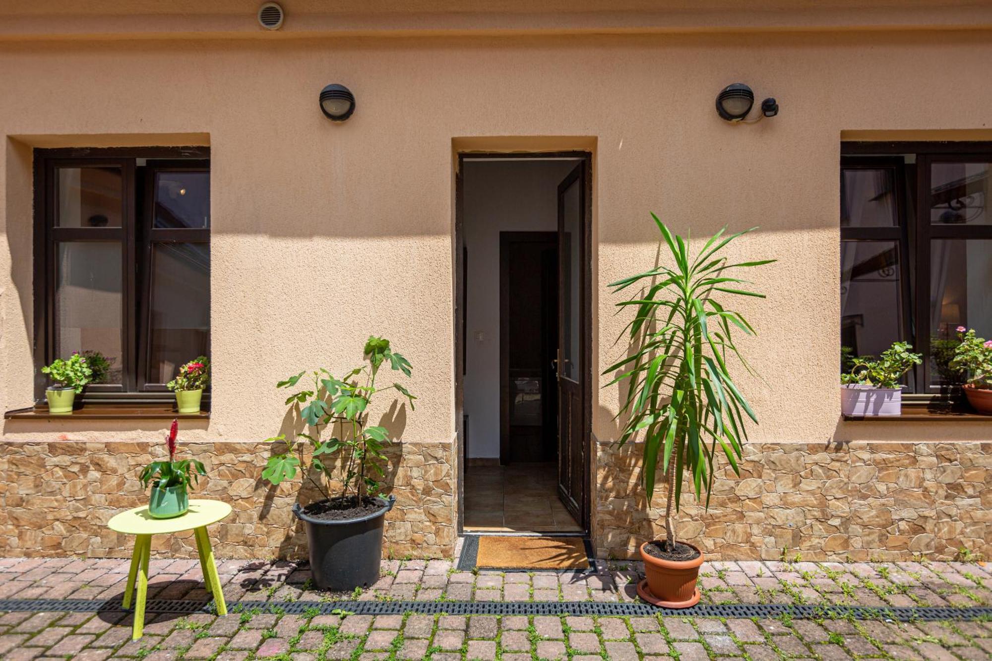 Dream Guesthouse براشوف المظهر الخارجي الصورة